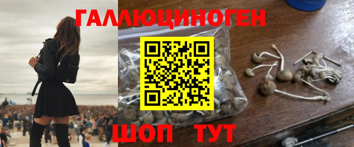 Псилоцибиновые грибы Magic Shrooms  Галлюциногенные грибы мухоморы  Чита  Вход с VPN 